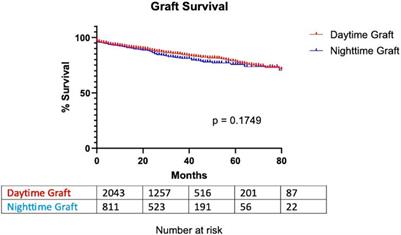 Impact of Transplantation Timing on Renal Graft Survival Outcomes and Perioperative Complications